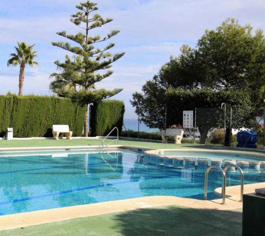 Apartment With Sea View, La Mata Torrevieja Eksteriør billede